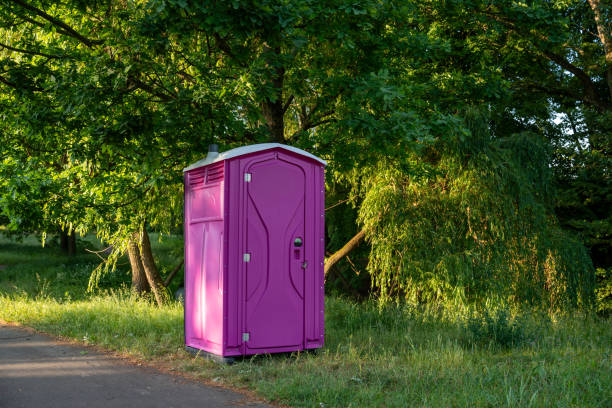 Affordable portable toilet rental in Detroit, MI